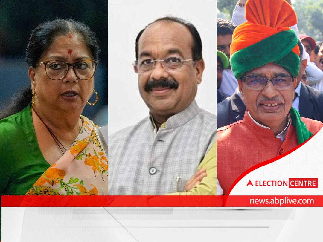 Madhya Pradesh Rajasthan Chhattisgarh Elections BJP CM Face Vasundhara Meets Nadda Vasundhara Meets Nadda Amid Intense Race To Rajasthan CM's Seat, C'garh & MP Pictures May Clear Up On Dec 10