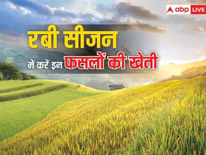 Cultivate these crops in Rabi season for good earning रबी सीजन से करनी है तगड़ी कमाई तो करें इन फसलों की बुवाई