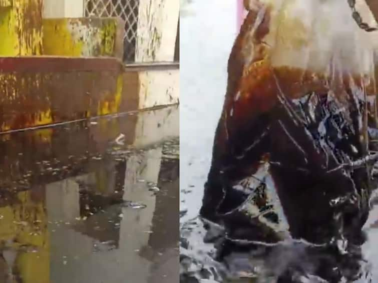 Crude Oil Leak A large amount of crude oil is leaking into the Ennore Kosasthalai river Crude Oil Leak: மிக்ஜாம் புயல் தாக்கம்: கசியும் கச்சா எண்ணெய்: எண்ணூரில் அவலம்: களத்தில் இறங்கிய விஜய் மக்கள் இயக்கம்!