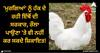 Viral News: 'ਮੁਰਗਿਆਂ' ਨੂੰ ਹੱਕ ਦੇ ਰਹੀ ਇੱਥੋਂ ਦੀ ਸਰਕਾਰ, ਰੌਲਾ ਪਾਉਣਾ 'ਤੇ ਵੀ ਨਹੀਂ ਕਰ ਸਕਦੇ ਸ਼ਿਕਾਇਤ!