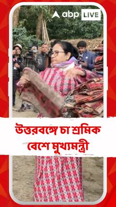 উত্তরবঙ্গে চা শ্রমিক বেশে মুখ্যমন্ত্রী, মকাইবাড়ি চা বাগানে তুললেন চা পাতা