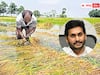 Andhra Cyclone Loss : విపత్తులొచ్చినప్పుడల్లా ఏపీ సర్కార్ నిమిత్తమాత్రంగా వ్యవహరిస్తోందా ? సీఎం జగన్ తీరుపై విమర్శలెందుకు ?