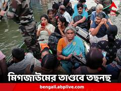 Cyclone Michaung Update: তছনছ তামিলনাডু, জলের তলায় বিস্তীর্ণ অঞ্চল, দুর্ভোগের ছাপ স্পষ্ট