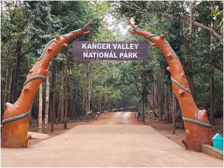 abp लाइव की खबर का असर, कांगेर वैली नेशनल पार्क के संचालक ने डिप्टी रेंजर को किया सस्पेंड bastar forest officer suspended for alleged corruption related to kanger valley national park ann abp लाइव की खबर का असर, कांगेर वैली नेशनल पार्क के संचालक ने डिप्टी रेंजर को किया सस्पेंड