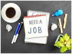 Jobs 2023: बिजली विभाग में इन पदों पर चल रही बंपर भर्ती, पास है लास्ट डेट, आज ही कर दें अप्लाई