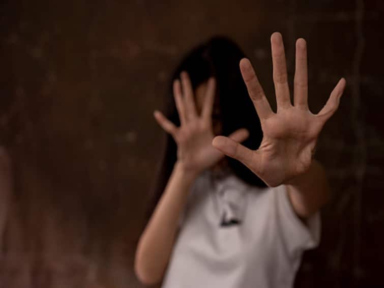 ncb chief rekha sharma says people make videos of crimes but help after ncrb data reveals stats on violence against women 'People Make Videos Of Crimes But...': NCW Chief After NCRB Data Reveals Stats On Violence Against Women