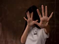 'People Record Crimes On Phones But...': NCW Chief On Violence Against Women