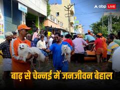Chennai Flood: गोद में पालतू जानवर, सुरक्षा बलों के कंधे पर लोग, तस्वीरों में देखें चेन्नई में बाढ़ की तबाही