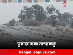 Darjeeling Snowfall: পাহাড়ে ঘুরতে যাচ্ছেন? তার আগেই তুষারপাত সান্দাকফুতে
