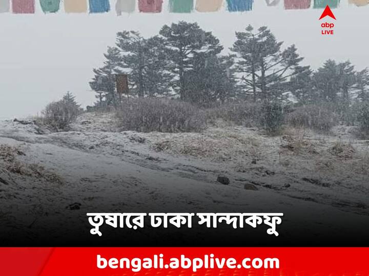 West Bengal Weather:আলিপুর আবহাওয়া দফতর পূর্বাভাসে জানিয়েছে,সিকিমে হালকা তুষারপাতের সম্ভাবনা রয়েছে। এর প্রভাব পড়তে পারে দার্জিলিংয়ের পার্বত্য এলাকায়।