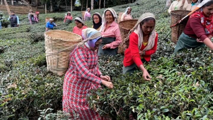 মুখ্যমন্ত্রী এমন রূপ নতুন নয়। এর আগে অনেকসময়েই  ভিন মেজাজে দেখা গিয়েছে তাঁকে। এই বছরেই জুনে পঞ্চায়েত ভোট প্রচারের সময় মালবাজারের চালসায় গিয়েছিলেন তিনি। সেখানে তিনি ঢুকে পড়েন একটি চায়ের দোকানে। কাগজের কাপ সাজিয়ে, নিজের হাতে কেটলি করে চা ঢেলেছিলেন তিনি।