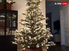 Christmas 2023: क्रिसमस से पहले घर लाएं क्रिसमस ट्री, दूर होगा वास्तु दोष