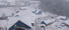 Darjeeling Snowfall: পাহাড়ে ঘুরতে যাচ্ছেন? তার আগেই তুষারপাত সান্দাকফুতে