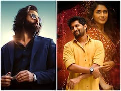 'యానిమల్' వేశారు, నాన్న కోసం వెళితే - హైదరాబాద్ థియేటర్‌లో షాక్!