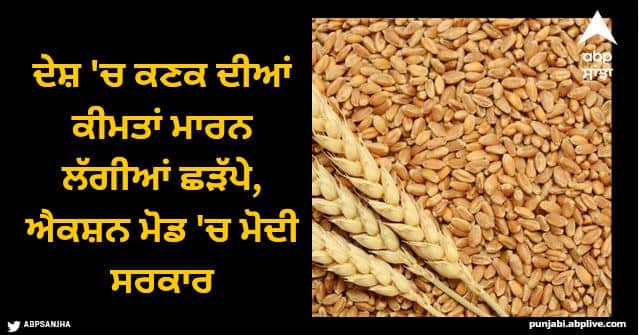 Prices of wheat in the country started to fall, Modi government in action mode, big steps taken immediately Wheat Price Hike: ਦੇਸ਼ 'ਚ ਕਣਕ ਦੀਆਂ ਕੀਮਤਾਂ ਮਾਰਨ ਲੱਗੀਆਂ ਛੜੱਪੇ, ਐਕਸ਼ਨ ਮੋਡ 'ਚ ਮੋਦੀ ਸਰਕਾਰ, ਤੁਰੰਤ ਚੁੱਕੇ ਵੱਡੇ ਕਦਮ