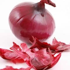 ਪਿਆਜ਼ ਦਾ ਜ਼ਿਆਦਾ ਸੇਵਨ ਦਿੰਦਾ ਇਨ੍ਹਾਂ ਬੀਮਾਰੀਆਂ ਨੂੰ ਸੱਦਾ!