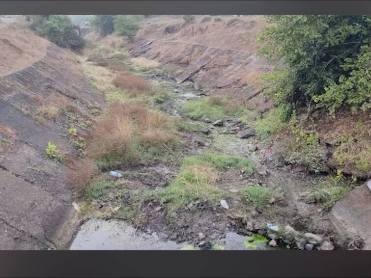 Palghar Maharashtra bad condition of canals of Surya project reduction in irrigation area detail marathi news  सूर्या प्रकल्पाच्या कालव्यांची वाताहत, सिंचन क्षेत्रातही घट, शेतकऱ्यांकडून नाराजी व्यक्त 