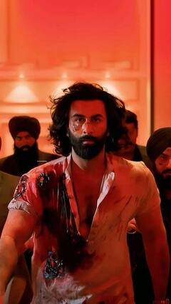 Year Ender 2023: ਸਾਲ 2023 'ਚ ਖੁੱਲ੍ਹੀ ਬਾਲੀਵੁੱਡ ਦੀ ਕਿਸਮਤ, 'ਪਠਾਨ' ਤੋਂ 'ਐਨੀਮਲ' ਇਨ੍ਹਾਂ ਫਿਲਮਾਂ ਨੇ ਬਾਕਸ ਆਫਿਸ 'ਤੇ ਲਿਆਂਦੀ ਹਨੇਰੀ