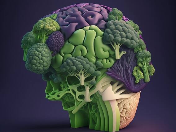 Foods For Healthy Brain : மூளை ஆரோக்கியத்திற்கு சிறந்த உணவுகள்..! Foods For Healthy Brain : மூளை ஆரோக்கியத்திற்கு சிறந்த உணவுகள்..!