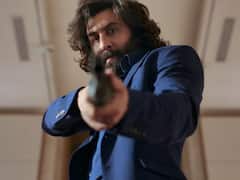 सात दिनों में बंपर कमाई, सनी देओल की 'गदर' को पछाड़ा, जानें 'पठान' और 'जवान' से कितनी पीछे रह गई 'एनिमल'