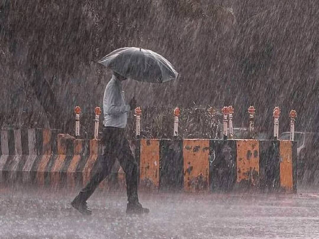 TN Rain Alert: மிரட்டிய புயல்.. சென்னையில் 50% கூடுதலாக பதிவான வடகிழக்கு பருவமழை.. According to Meteorological Department, 50% more North East Monsoon rains have fallen in Chennai imd TN Rain Alert: மிரட்டிய புயல்.. சென்னையில் 50% கூடுதலாக பதிவான வடகிழக்கு பருவமழை..