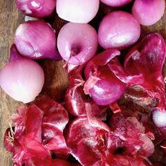 ਪਿਆਜ਼ ਦਾ ਜ਼ਿਆਦਾ ਸੇਵਨ ਦਿੰਦਾ ਇਨ੍ਹਾਂ ਬੀਮਾਰੀਆਂ ਨੂੰ ਸੱਦਾ!