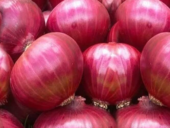 शेतकऱ्यांच्या जखमेवर मीठ चोळण्याचा प्रकार, स्वाभिमानी शेतकरी संघटनेची सरकारवर टीका