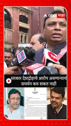 Ashish Shelar on Nawab Malik : सरकार देशद्रोहाचे आरोप असणाऱ्याचं समर्थन करु शकत नाही