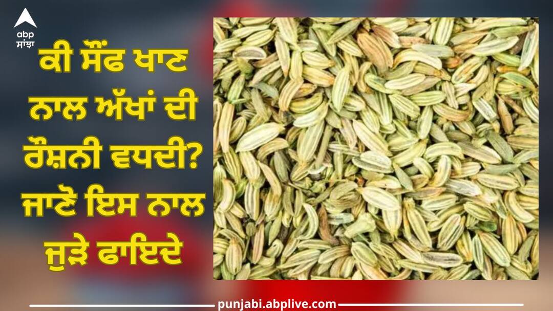 Fennel Seeds: ਕੀ ਸੌਂਫ ਖਾਣ ਨਾਲ ਅੱਖਾਂ ਦੀ ਰੌਸ਼ਨੀ ਵਧਦੀ? ਜਾਣੋ ਇਸ ਨਾਲ ਜੁੜੇ ਫਾਇਦੇ Fennel Seeds: Does eating fennel improve eyesight Know benefits Fennel Seeds: ਕੀ ਸੌਂਫ ਖਾਣ ਨਾਲ ਅੱਖਾਂ ਦੀ ਰੌਸ਼ਨੀ ਵਧਦੀ? ਜਾਣੋ ਇਸ ਨਾਲ ਜੁੜੇ ਫਾਇਦੇ