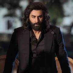 Animal Box Office Collection Day 7 Worldwide: 'एनिमल' की दहाड़ से गूंजा बॉक्स ऑफिस, रणबीर कपूर की फिल्म ने 7 दिन में कर ली बंपर कमाई