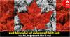 Canada Indian Student: ਭਾਰਤੀ ਵਿਦਿਆਰਥੀਆਂ ਲਈ ਕਬਰਿਸਤਾਨ ਬਣੀ ਵਿਦੇਸ਼ੀ ਧਰਤੀ! 403 ਮੌਤਾਂ, ਹੋਸ਼ ਉਡਾਉਣ ਵਾਲੇ ਕੈਨੇਡਾ ਦੇ ਅੰਕੜੇ