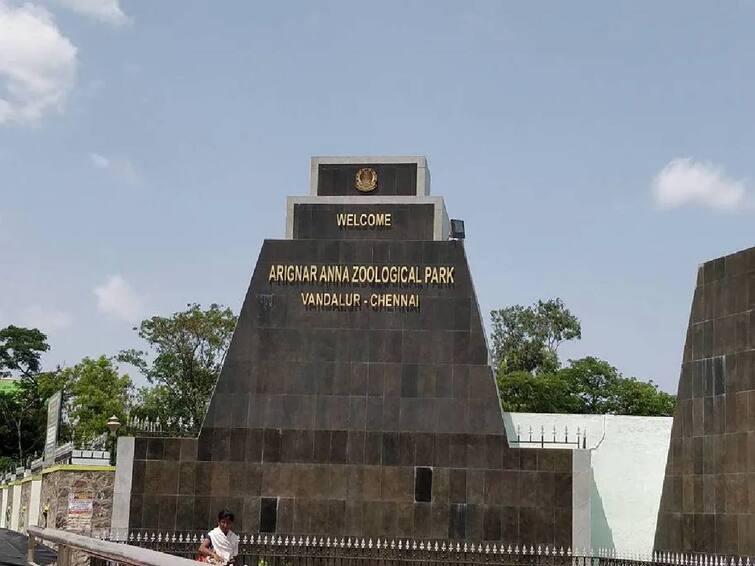 Vandalur  Arignar Anna Zoological Park will be reopening from today Vandalur Zoo: மிக்ஜாம் புயல் பாதிப்பில் இருந்து மீண்ட வண்டலூர் பூங்கா - இன்று முதல் பொதுமக்களுக்கு அனுமதி..!
