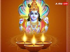 Utpanna Ekadashi Upay: उत्पन्ना एकादशी के दिन जरुर करें ये महत्वपूर्ण उपाय