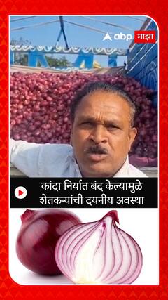 Nashik Onion Export Protest : कांदा निर्यात बंद केल्यामुळे शेतकऱ्यांची दयनीय अवस्था