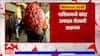 Onion Farmer Nashik:नाशिकमध्ये कांदा उत्पादक शेतकरी आक्रमक,संतप्त शेतकऱ्यांकडून ठिकठिकाणचे लिलाव बंद