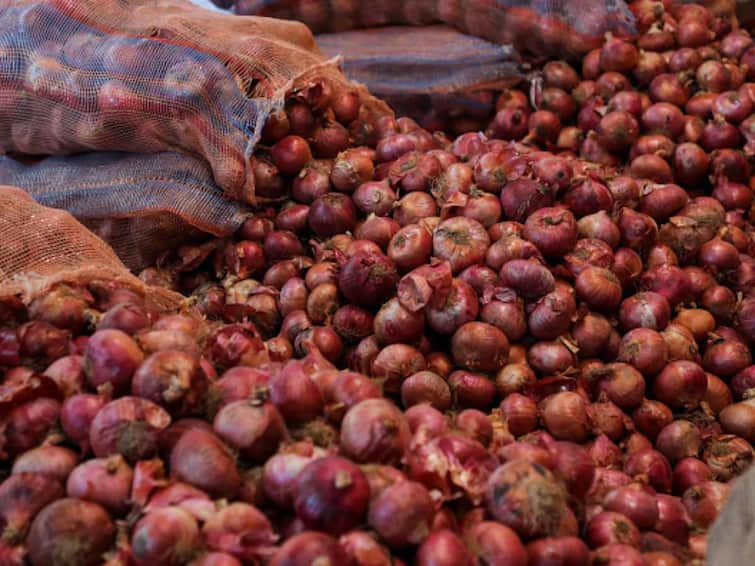 Rajkot: Onion Farmers big loss in the Onion Farming due to Auction banned and Price rate down at today Rajkot: ડુંગળીના ખેડૂતોને 'પડ્યા ઉપર પાટુ', 16 હજાર ખર્ચ ને ચાર મહિનાની મહેનત માથે પડી, ભાવ ગગડ્યા-હરાજી બંધ