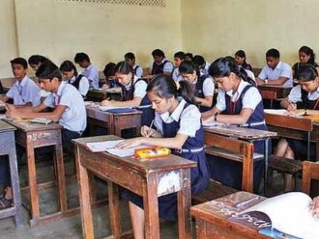 TN 12th Results School Wise:  அரசு பள்ளிகளா இல்லை தனியார் பள்ளிகளா! +2 தேர்வு முடிவில் கோலோச்சியது யார்? முழு விவரம்