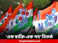 বছর ঘুরলেই লোকসভা নির্বাচন, ফের মাথাচাড়া দিয়েছে TMC-র 'এক ব্যক্তি-এক পদ' বিতর্ক
