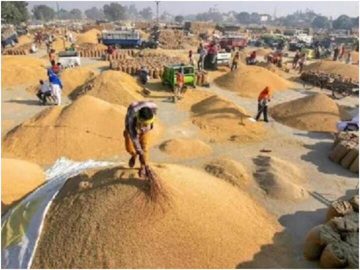 balrampur know how over 20 thousand indebted farmers will be affected as government changed in state ann Balrampur: सरकार बदलते ही कर्ज माफी योजना पर रोक? बलरामपुर के किसानों को धान बेचकर चुकाना होगा लोन