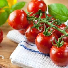 ਖਾਲੀ ਪੇਟ ਟਮਾਟਰ ਖਾਣ ਨਾਲ ਹੁੰਦੇ ਹਨ ਕਈ ਫਾਇਦੇ !