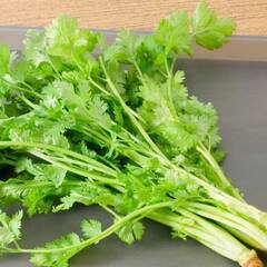 ਸਰਦੀ ਖਾਂਸੀ ਤੋਂ ਰਾਹਤ ਪਾਉਣ ਲਈ ਖਾਓ ਧਨੀਆ, ਹੋਰ ਵੀ ਬਿਮਾਰੀਆਂ ਦਾ ਇਲਾਜ