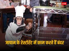 Japan Monkey Restaurant: जापान में है दुनिया का एकमात्र रेस्टोरेंट, जहां बंदर परोसते हैं खाना, देखें तस्वीरें