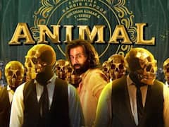 एनीमल की बंपर कमाई के बीच क्यों चर्चा में है 'अल्फा मेल' शब्द?