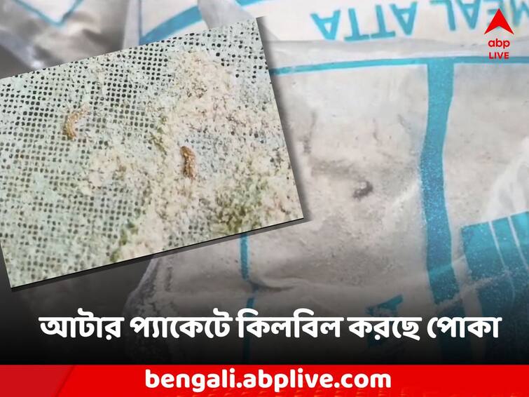 Ration Domjur opening the ration flour packet, the insect came out chirping Ration: রেশনের আটার প্যাকেট খুলতেই কিলবিল করে বেরিয়ে এল পোকা! তুমুল চাঞ্চল্য ডোমজুড়ে