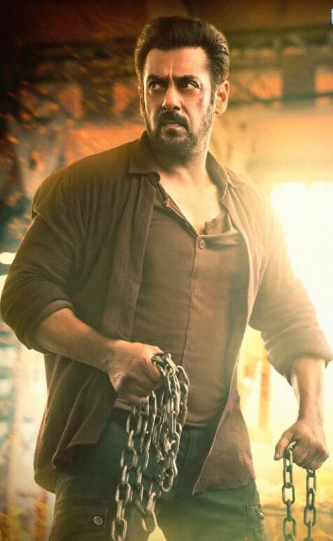 इस साल सलमान खान की भी 2 फिल्में 'टाइगर 3' और 'किसी का भाई किसी की जान' रिलीज हुई. भाईजान ने भी ये साल अपने नाम किया.