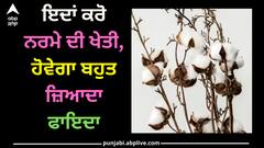Cotton Farming: ਇਦਾਂ ਕਰੋ ਨਰਮੇ ਦੀ ਖੇਤੀ, ਹੋਵੇਗਾ ਬਹੁਤ ਜ਼ਿਆਦਾ ਫਾਇਦਾ