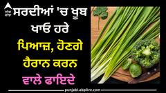 Green onion: ਸਰਦੀਆਂ 'ਚ ਖੂਬ ਖਾਓ ਹਰੇ ਪਿਆਜ਼, ਹੋਣਗੇ ਹੈਰਾਨ ਕਰਨ ਵਾਲੇ ਫਾਇਦੇ
