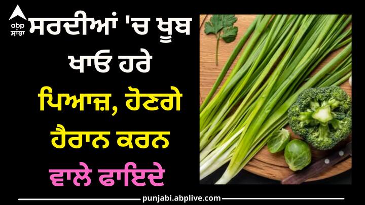 Green onion: ਸਰਦੀਆਂ ਚ ਹਰਾ ਪਿਆਜ਼ ਖਾਣਾ ਸਿਹਤ ਲਈ ਬਹੁਤ ਫਾਇਦੇਮੰਦ ਹੁੰਦਾ ਹੈ। ਹਰੇ ਪਿਆਜ਼ 'ਚ ਅਜਿਹੇ ਕਈ ਗੁਣ ਅਤੇ ਪੋਸ਼ਕ ਤੱਤ ਪਾਏ ਜਾਂਦੇ ਹਨ ਜੋ ਸਰਦੀਆਂ ਦੇ ਮੌਸਮ 'ਚ ਖਾਸ ਤੌਰ 'ਤੇ ਫਾਇਦੇਮੰਦ ਮੰਨੇ ਜਾਂਦੇ ਹਨ। ਆਓ ਜਾਣਦੇ ਹਾਂ ਇੱਥੇ..