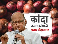 मोठी बातमी : शरद पवारांनी शड्डू ठोकला, चांदवडच्या आंदोलनात उतरणार, रणनीती ठरली! 