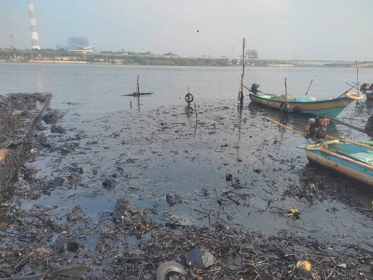 National Green Tribunal has said that tnpcb has to submit its report on the issue of oil spillage in the kosasthalai river on Tuesday. Oil Spillage: கொசஸ்தலை ஆற்றில் எண்ணெய் கலந்த விவகாரம்.. சரமாரி கேள்வி கேட்ட தென்மண்டல தேசிய பசுமை தீர்ப்பாயம்..